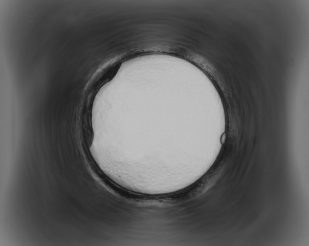 X0000084550625200703231737