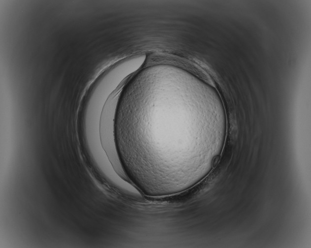 X0000084550626200703231737