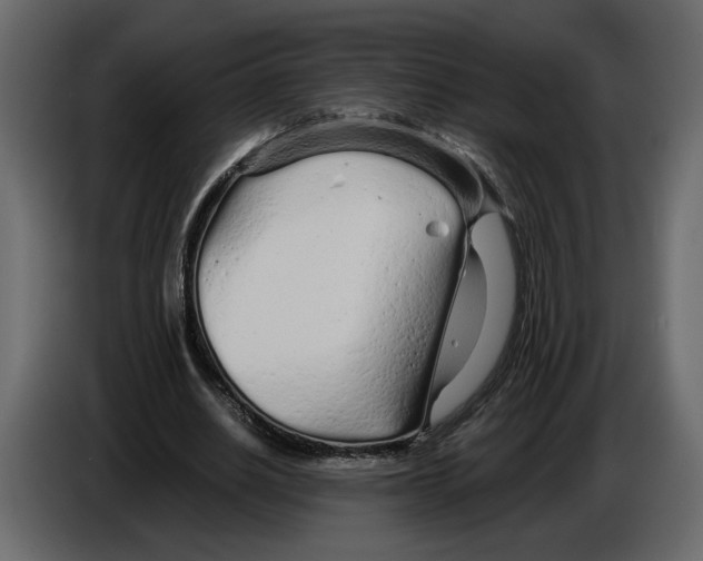 X0000084550630200703231737