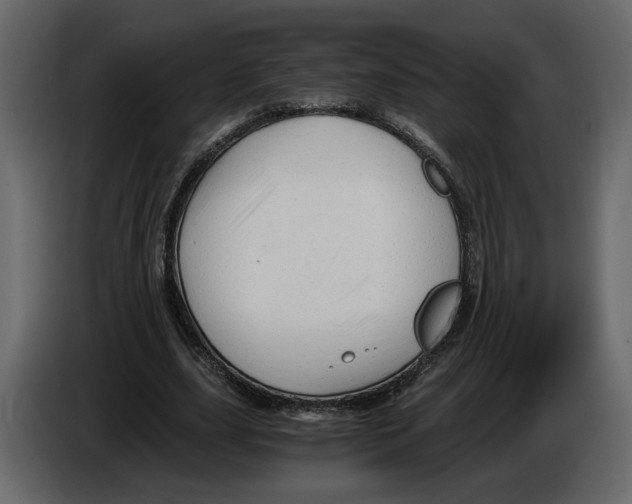 X0000084550631200703231737