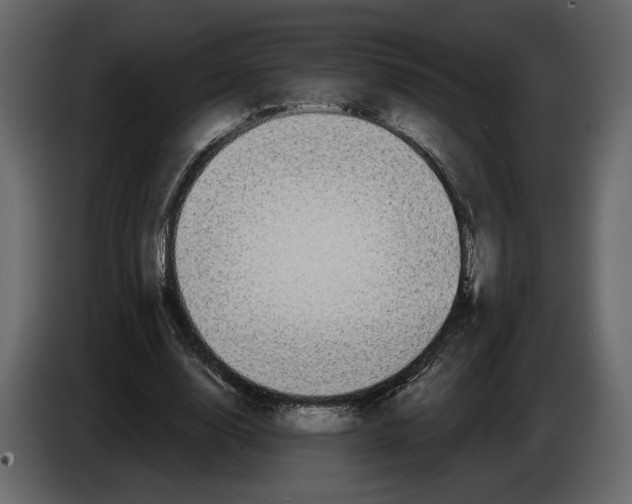 X0000084550632200703231737