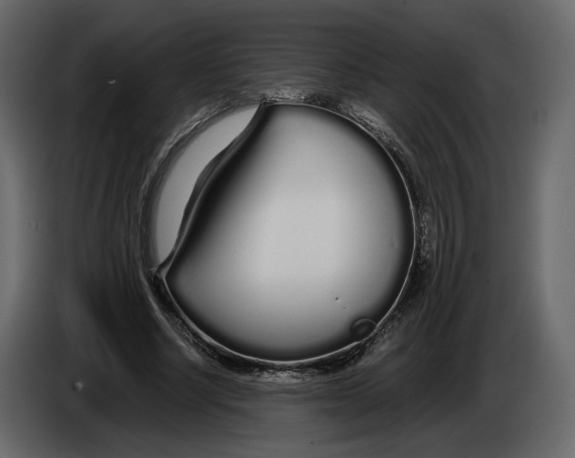 X0000084550634200703231737