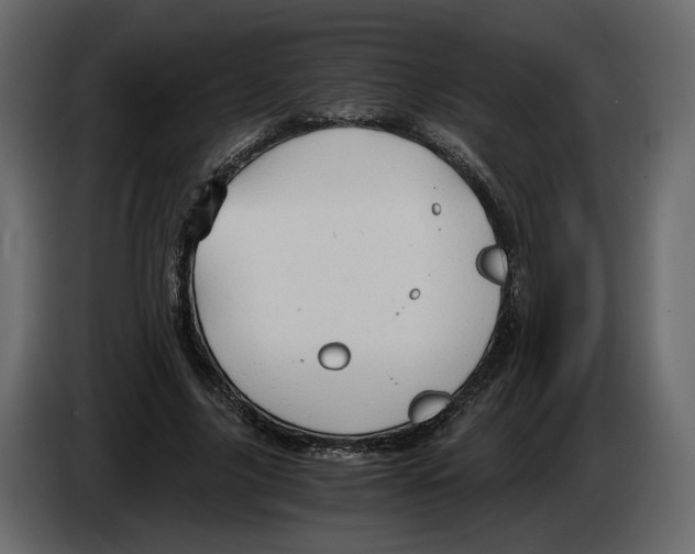 X0000084550635200703231737