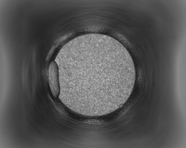 X0000084550636200703231737