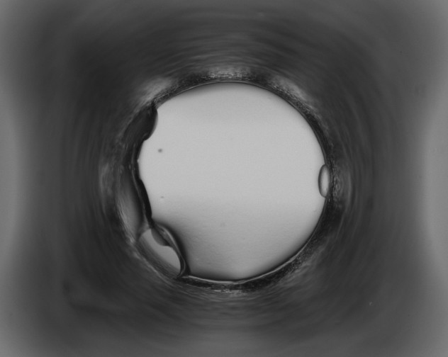 X0000084550637200703231737