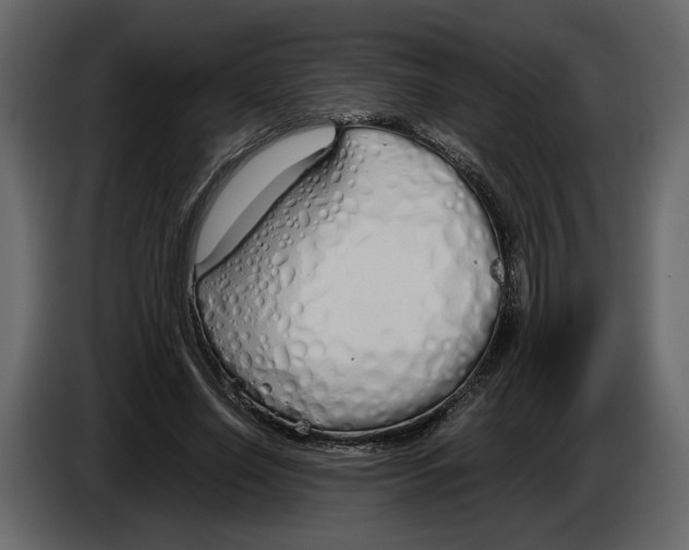 X0000084550638200703231737