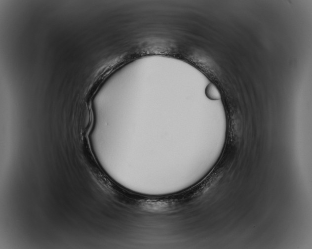 X0000084550640200703231737