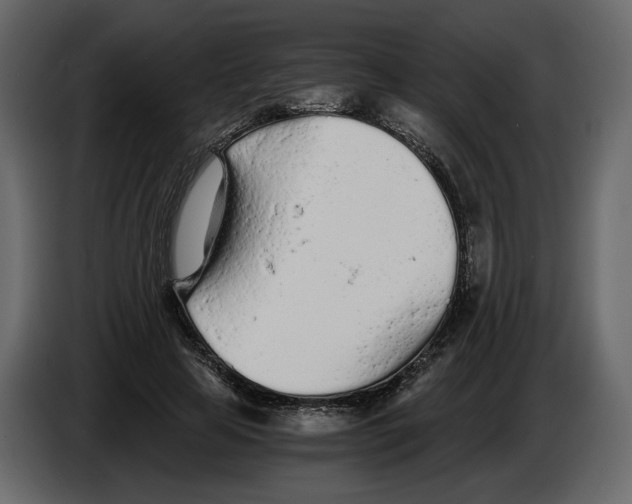 X0000084550641200703231737