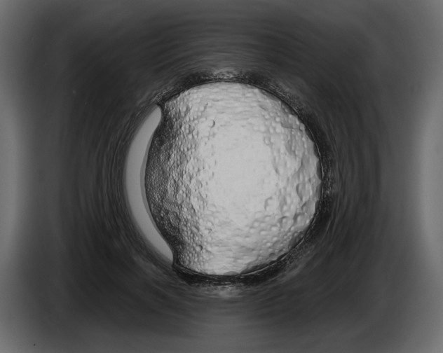 X0000084550646200703231737