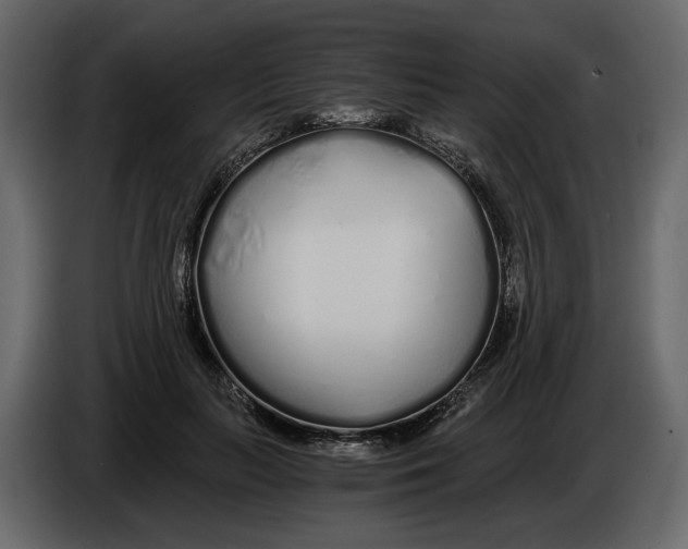 X0000084550647200703231737