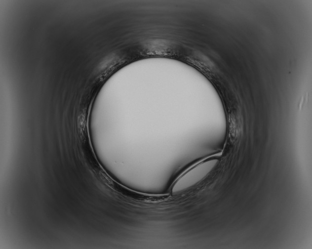 X0000084550648200703231737