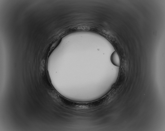 X0000084550649200703231737