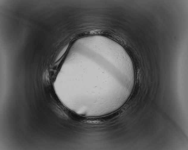 X0000084550650200703231737