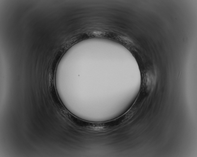 X0000084550651200703231737