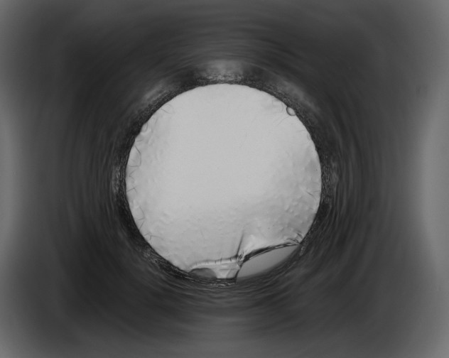 X0000084550652200703231737