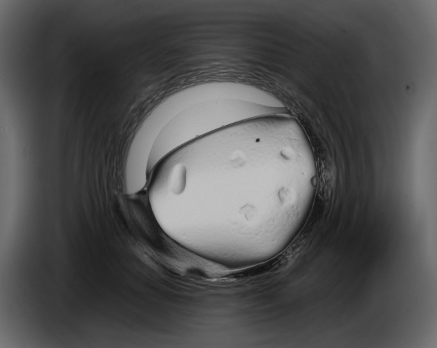 X0000084550654200703231737