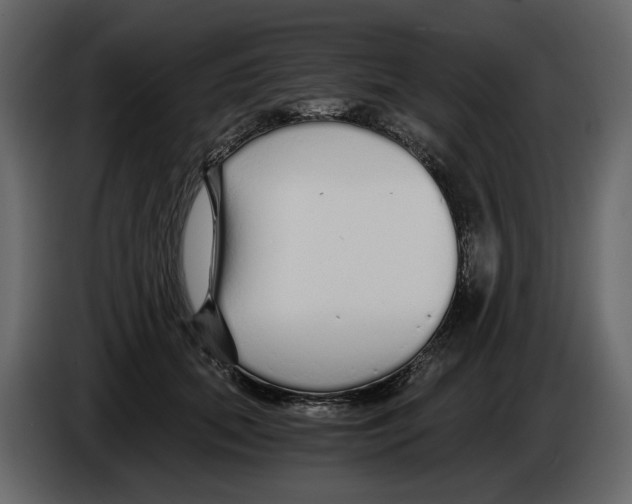 X0000084550655200703231737