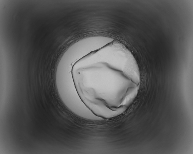 X0000084550656200703231737