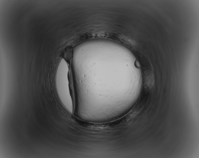 X0000084550661200703231737