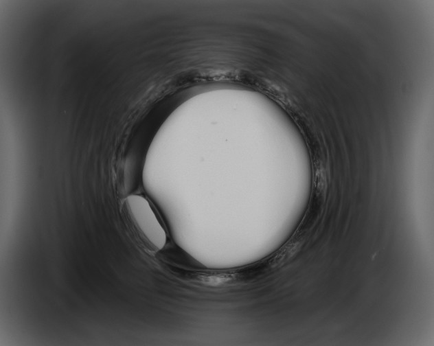 X0000084550662200703231737