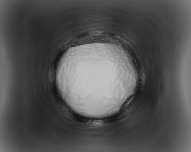 X0000084550665200703231737