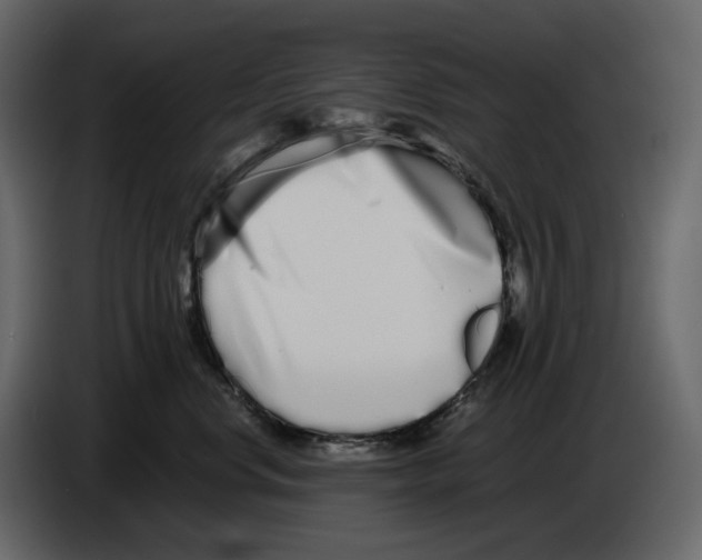 X0000084550668200703231738