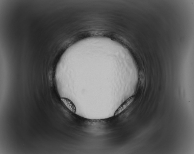 X0000084550670200703231738