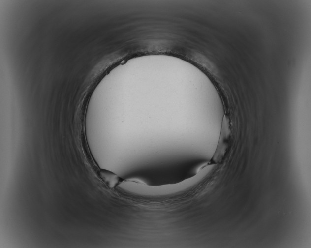 X0000084550673200703231737