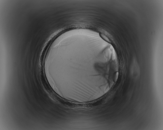 X0000084550674200703231737