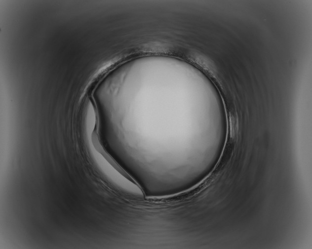 X0000084550675200703231737