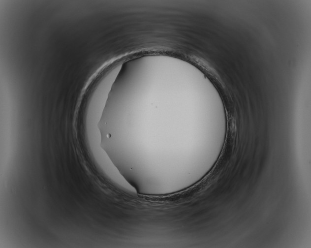 X0000084550676200703231737