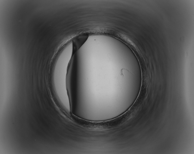 X0000084550677200703231737