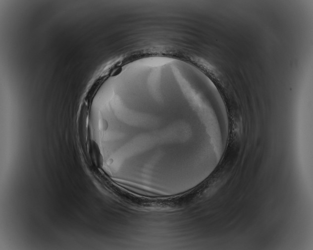 X0000084550678200703231737