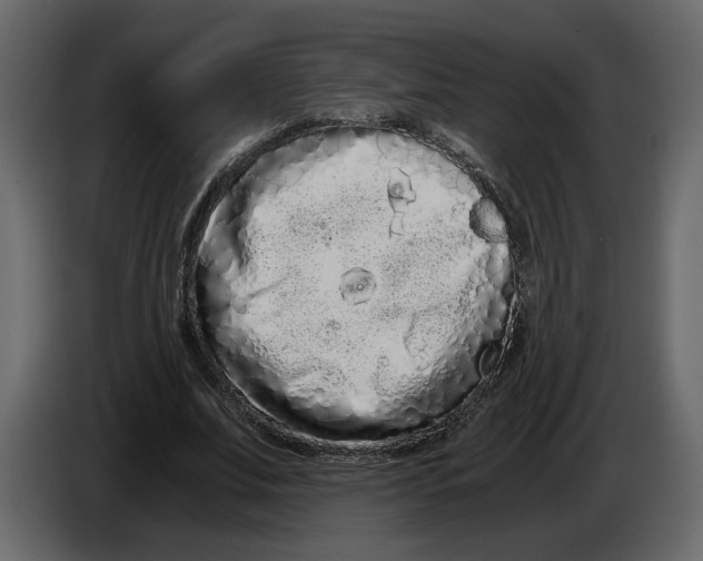 X0000084550679200703231737