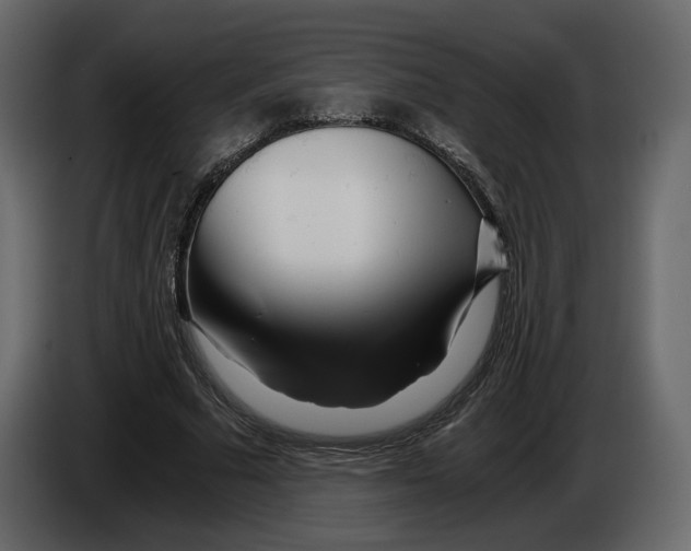 X0000084550681200703231737