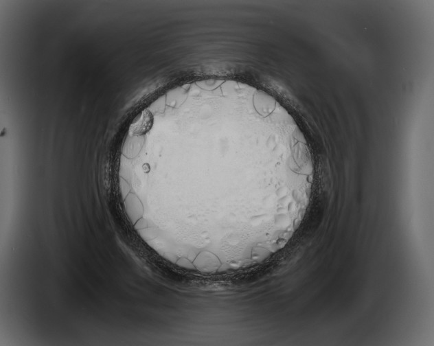 X0000084550683200703231737