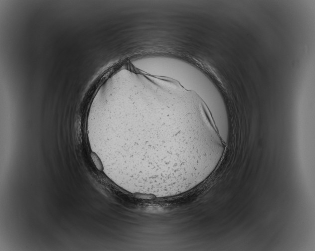 X0000084550684200703231737