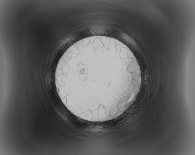 X0000084550687200703231737