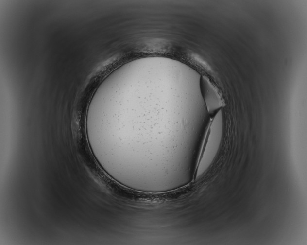 X0000084550688200703231737