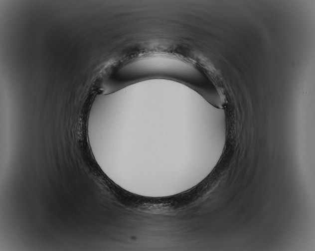 X0000084550689200703231737