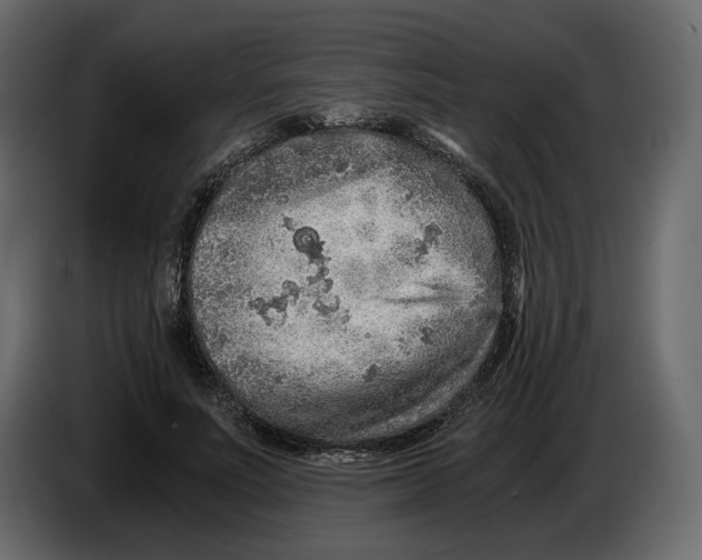 X0000084550691200703231737