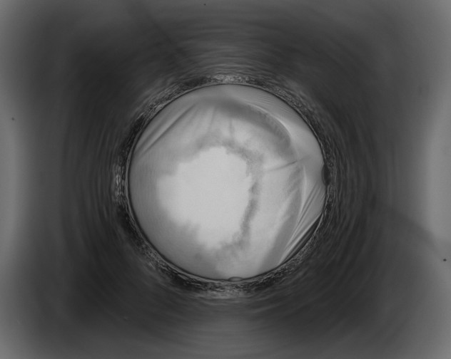 X0000084550696200703231737