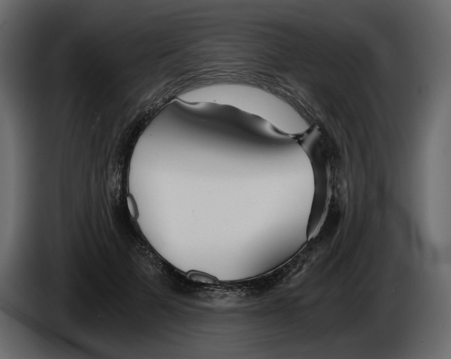 X0000084550697200703231737