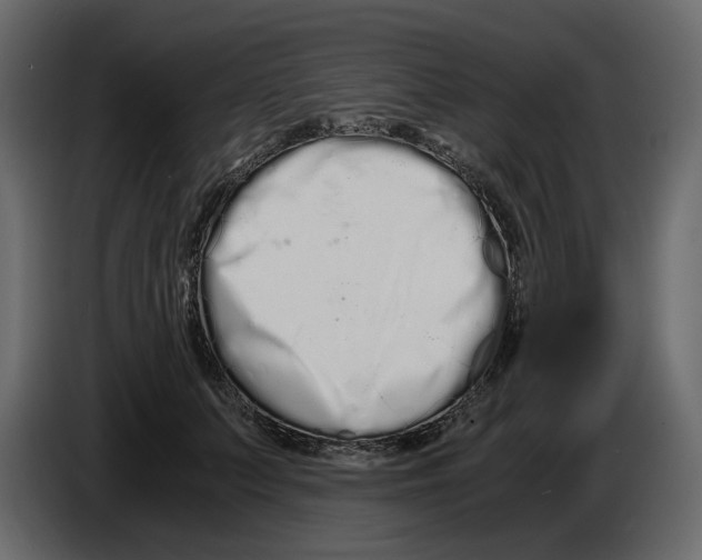 X0000084550703200703231736