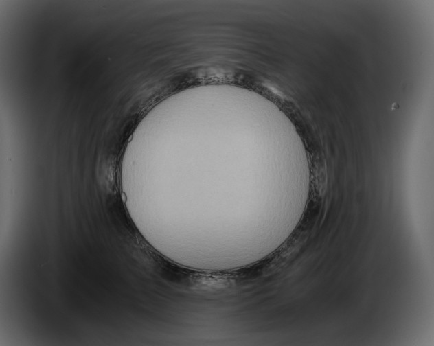 X0000084550709200703231736