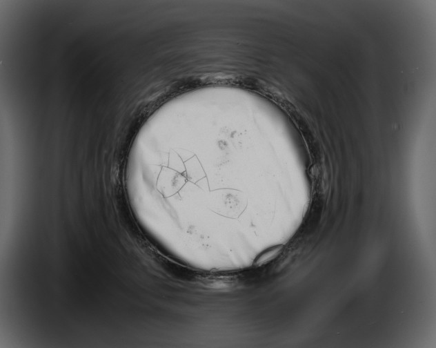 X0000084550711200703231736