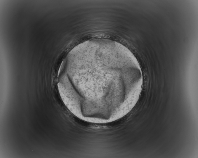 X0000084550712200703231736