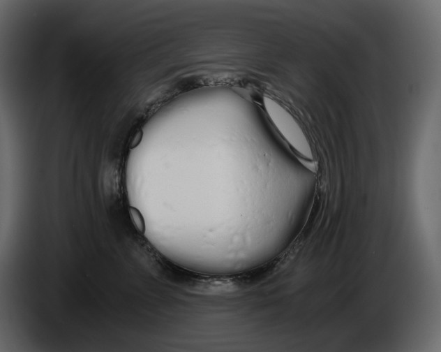 X0000084550715200703231736