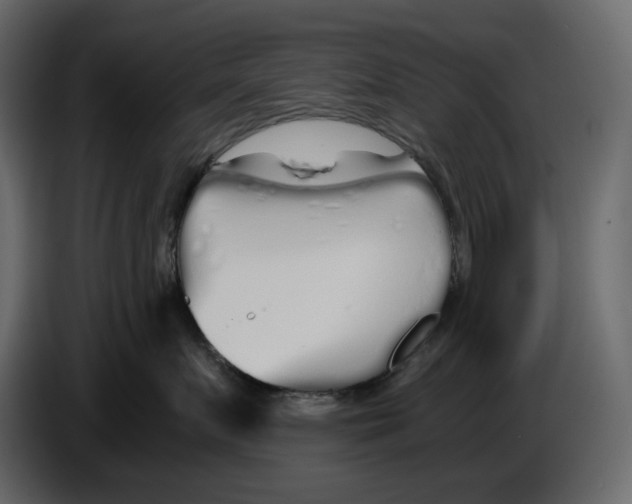 X0000084550719200703231736