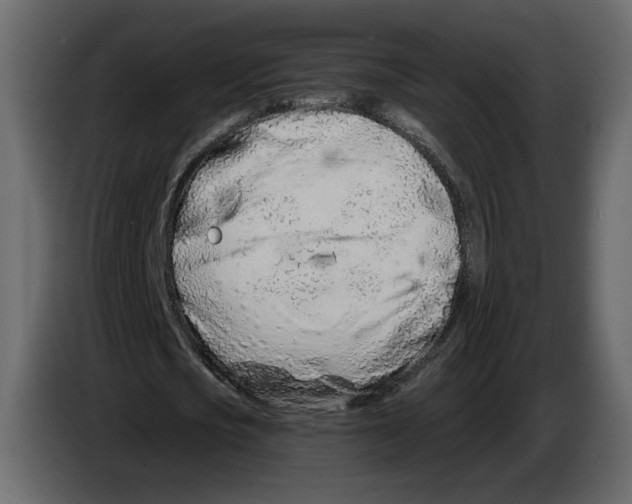 X0000084550721200703231736